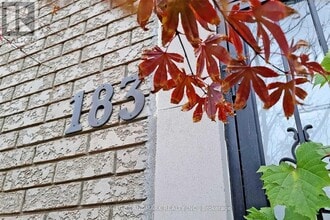 183 Shirley Dr in Richmond Hill, ON - Building Photo - Building Photo