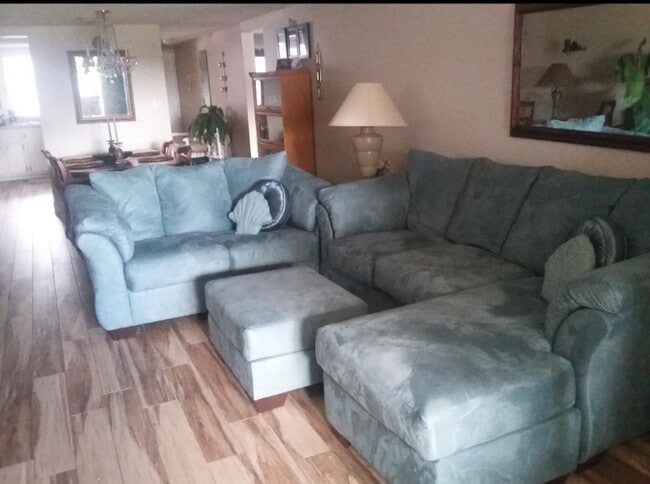 8 Glencoe Pl in Dunedin, FL - Building Photo - Building Photo