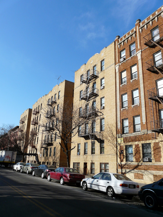 2345 Crotona Ave in Bronx, NY - Building Photo