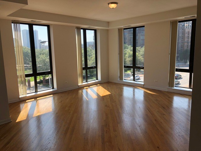 343 W Old Town Ct in Chicago, IL - Building Photo - Building Photo