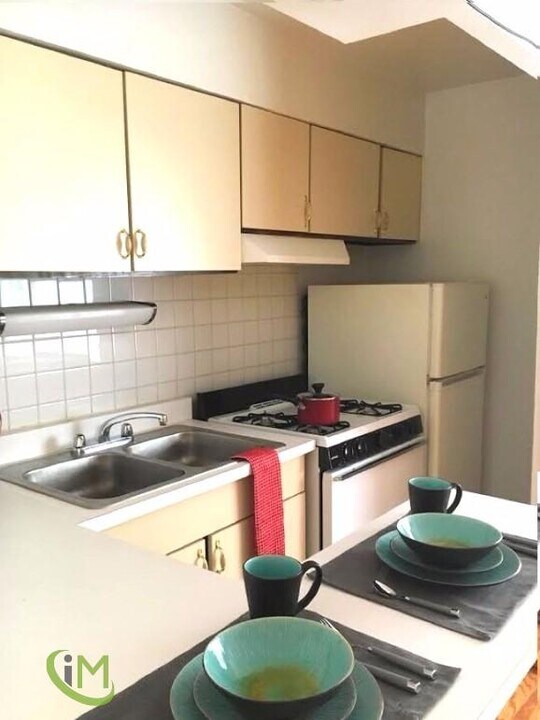 522 W Surf St-Unit -03N in Chicago, IL - Building Photo
