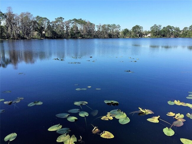 10040 Crystalline Ct in Orlando, FL - Building Photo - Building Photo