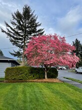 21515 SE Alder St in Gresham, OR - Building Photo - Building Photo