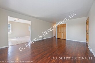 1176 S Chestnut Ave in Arlington Heights, IL - Building Photo - Building Photo