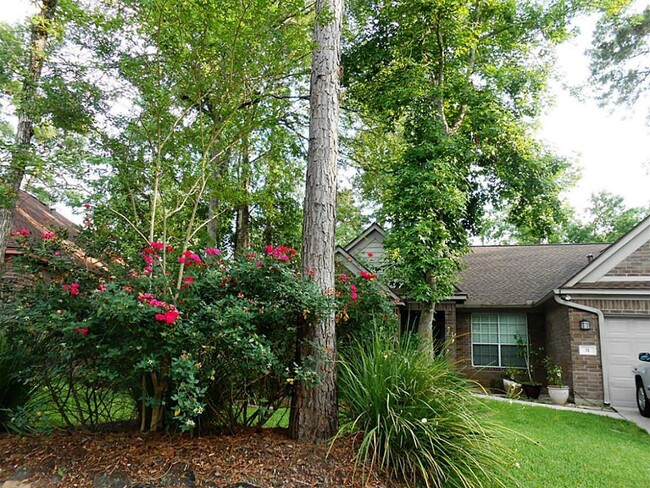 31 Barn Lantern Pl in Spring, TX - Building Photo - Building Photo