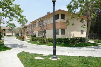 Elmwood Focus in Burbank, CA - Building Photo - Building Photo