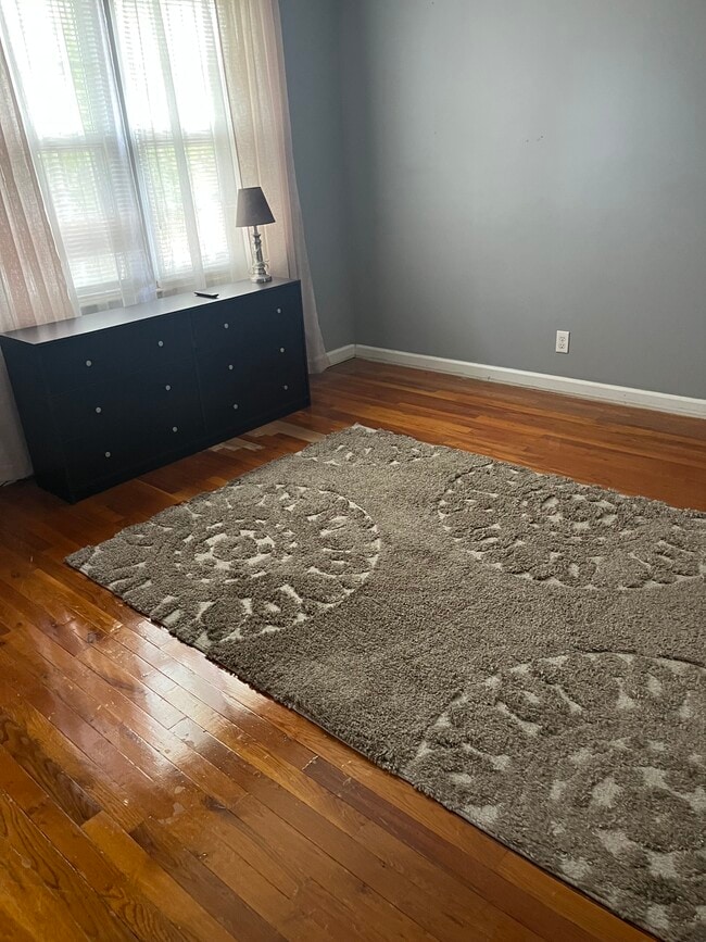 1153 Dickinson St in Springfield, MA - Building Photo - Building Photo