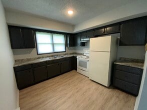 28 N Alexander St in Danville, IL - Building Photo - Building Photo