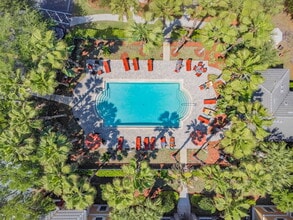 2151 Chianti Pl in Palm Harbor, FL - Foto de edificio - Building Photo