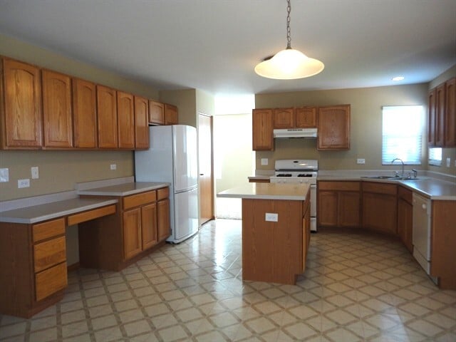 454 Grape Vine Trl in Oswego, IL - Building Photo - Building Photo