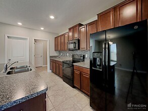 15422 Broad Brush Dr in Sun City Center, FL - Building Photo - Building Photo