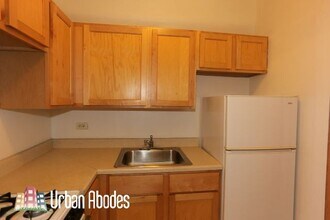 1160 N Dearborn St, Unit J04W in Chicago, IL - Building Photo - Building Photo