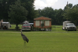 Triple T Mobile Home Park in Thonotosassa, FL - Foto de edificio - Building Photo