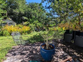 3315 W Empedrado St in Tampa, FL - Building Photo - Building Photo