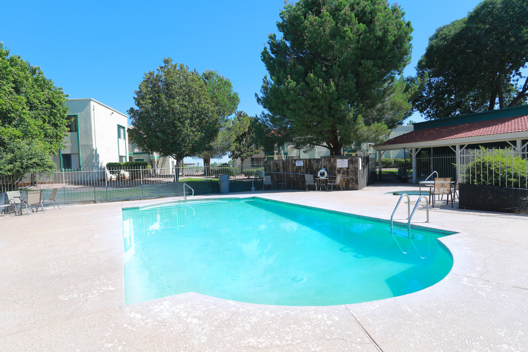 Falcon Court Apartments in Sierra Vista, AZ - Building Photo