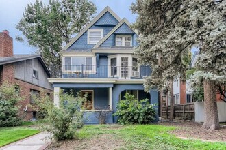 1073 N Downing St in Denver, CO - Building Photo - Building Photo