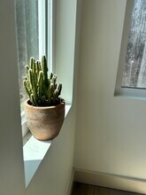 7822 Toland Ave in Los Angeles, CA - Building Photo - Building Photo