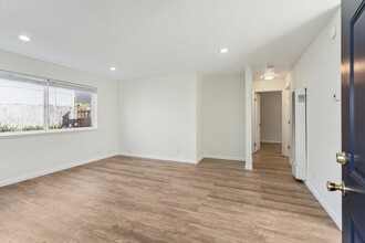 1649 Julia St in Berkeley, CA - Building Photo - Interior Photo