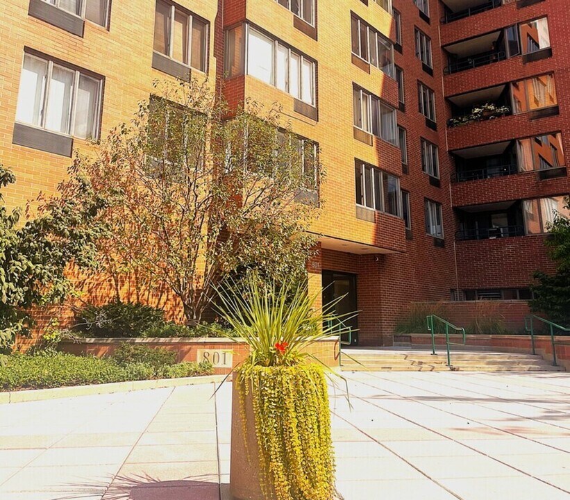 801 S Plymouth Ct in Chicago, IL - Foto de edificio