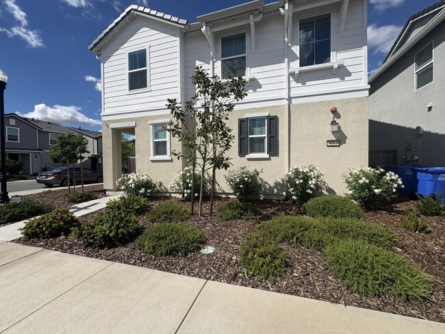 8213 Ocho Wy in Elk Grove, CA - Building Photo - Building Photo