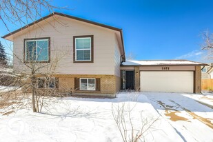 2673 S Carson Way in Aurora, CO - Building Photo