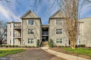 15300 Diamond Cove Terrace, Unit 4 in Rockville, MD - Building Photo