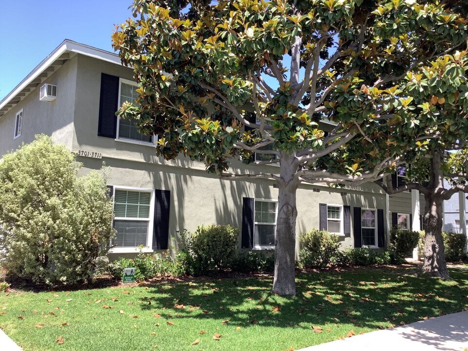 3701-3711 Green Ave in Los Alamitos, CA - Building Photo