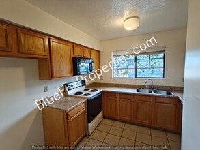 254 E Pastime Rd in Tucson, AZ - Building Photo - Building Photo