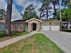23107 Earlmist Dr in Spring, TX - Building Photo