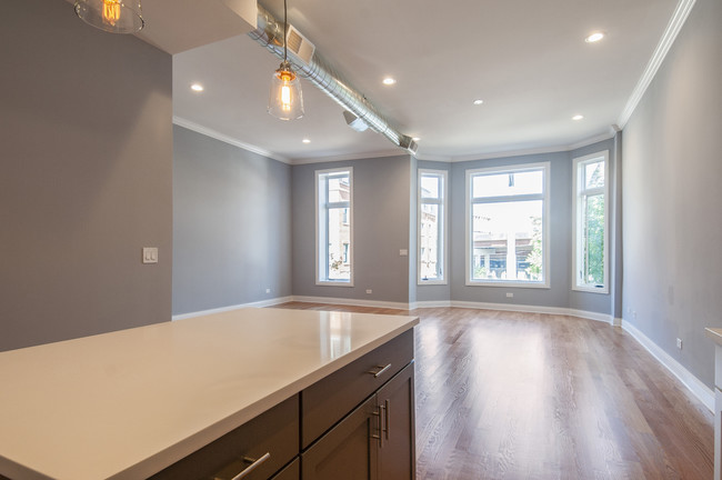 2124 S Halsted St, Unit 3 in Chicago, IL - Building Photo - Building Photo