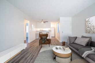 320 Smilax Rd in San Marcos, CA - Building Photo - Building Photo