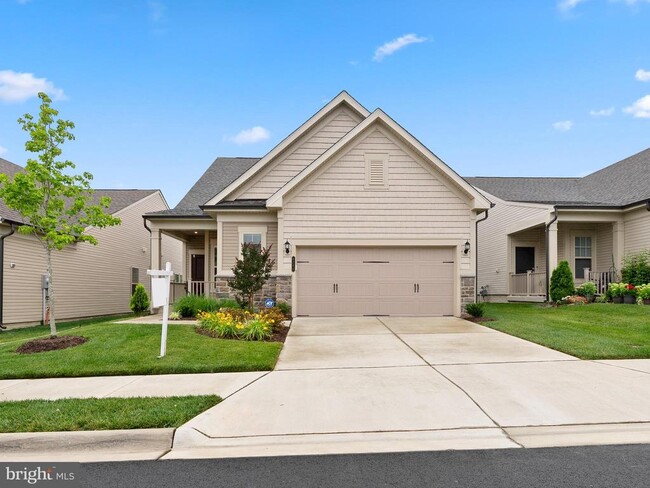 6248 Zinnia Ln in Haymarket, VA - Building Photo - Building Photo