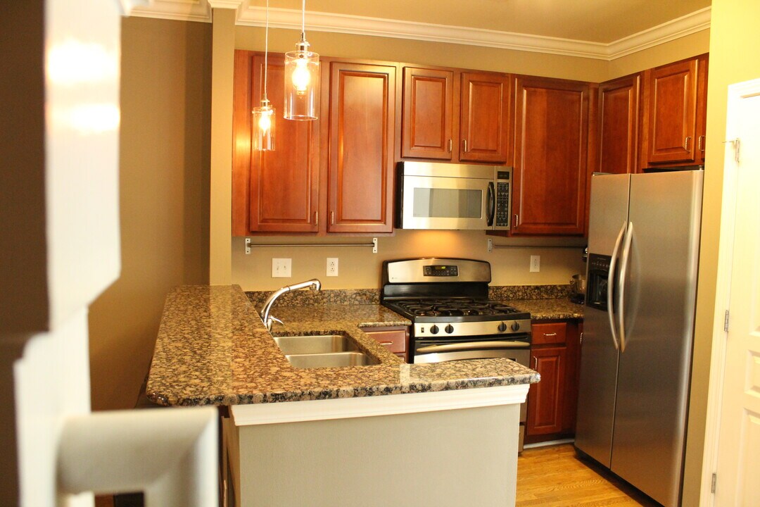 1035 S Sycamore Green Pl in Charlotte, NC - Building Photo