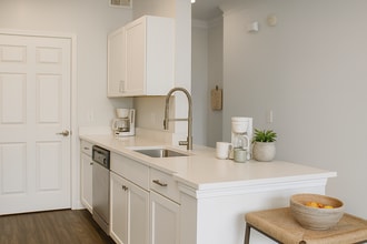 Bluffs at Riverview in Birmingham, AL - Building Photo - Building Photo