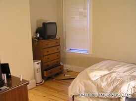 47 Cameron St, Unit 1 in Brookline, MA - Building Photo