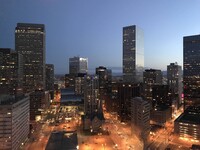 The Apartments at Denver Place in Denver, CO - Foto de edificio - Building Photo