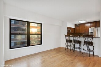 350 W Belden Ave, Unit 301 in Chicago, IL - Building Photo - Building Photo