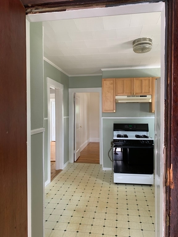 50 Windsor Rd, Unit #1