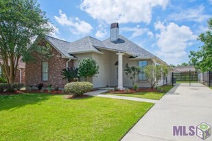 10436 Springpark Ave in Baton Rouge, LA - Building Photo - Building Photo