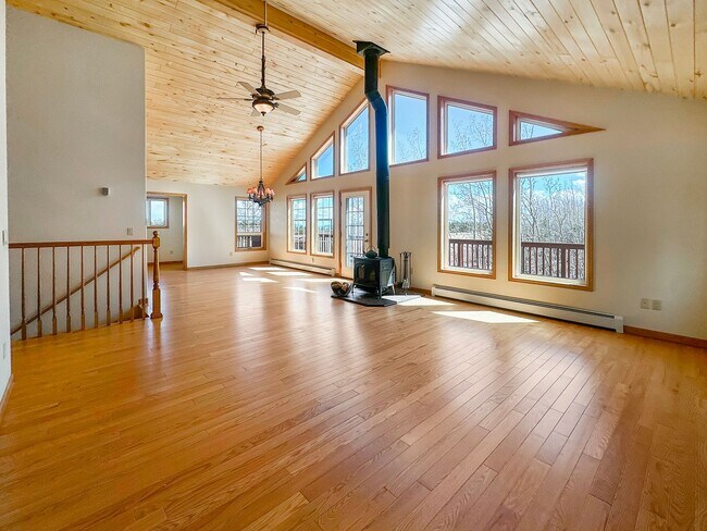 46 Timothy Ct in Fairplay, CO - Building Photo - Building Photo