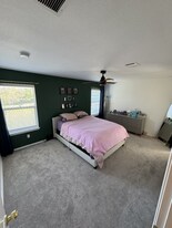 14613 Walt Whitman Trail in Pflugerville, TX - Building Photo