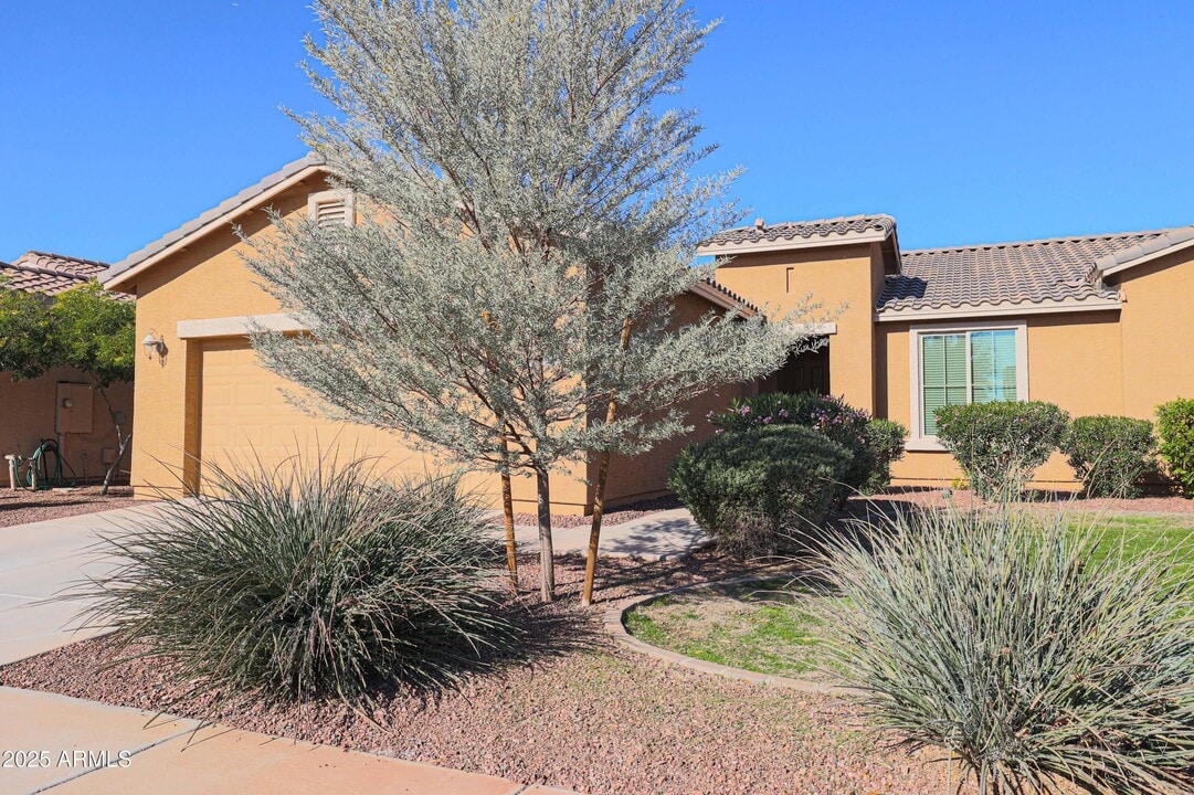 42016 W Ellington Ln in Maricopa, AZ - Building Photo