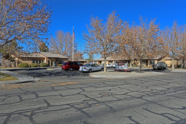 Yerington Manor Apartments in Yerington, NV - Building Photo - Building Photo