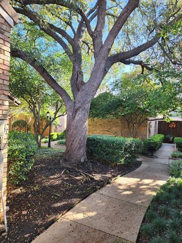 17042 Knots Landing in Addison, TX - Building Photo - Building Photo