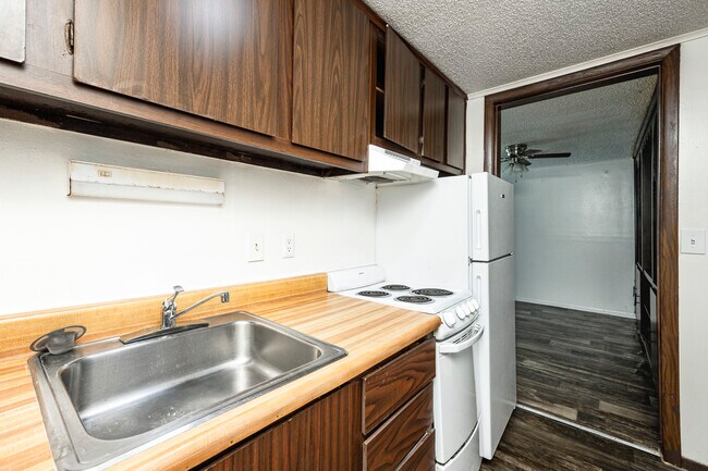 Camellia Court Apartments in Daytona Beach, FL - Foto de edificio - Building Photo