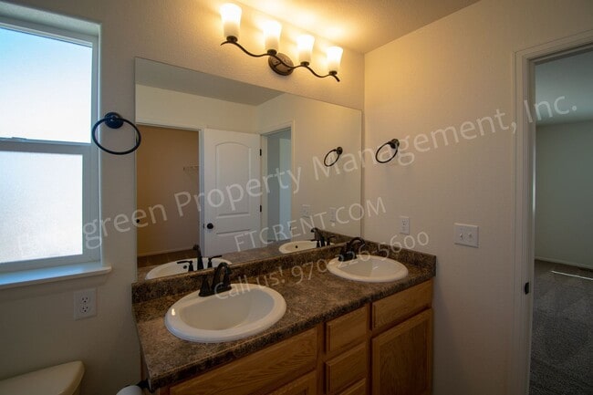 6432 San Isabel Ave in Loveland, CO - Building Photo - Building Photo