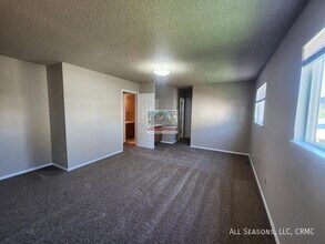 982 Daffodil St in Fountain, CO - Building Photo - Building Photo