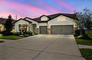 11701 Brighton Knoll Loop in Riverview, FL - Building Photo