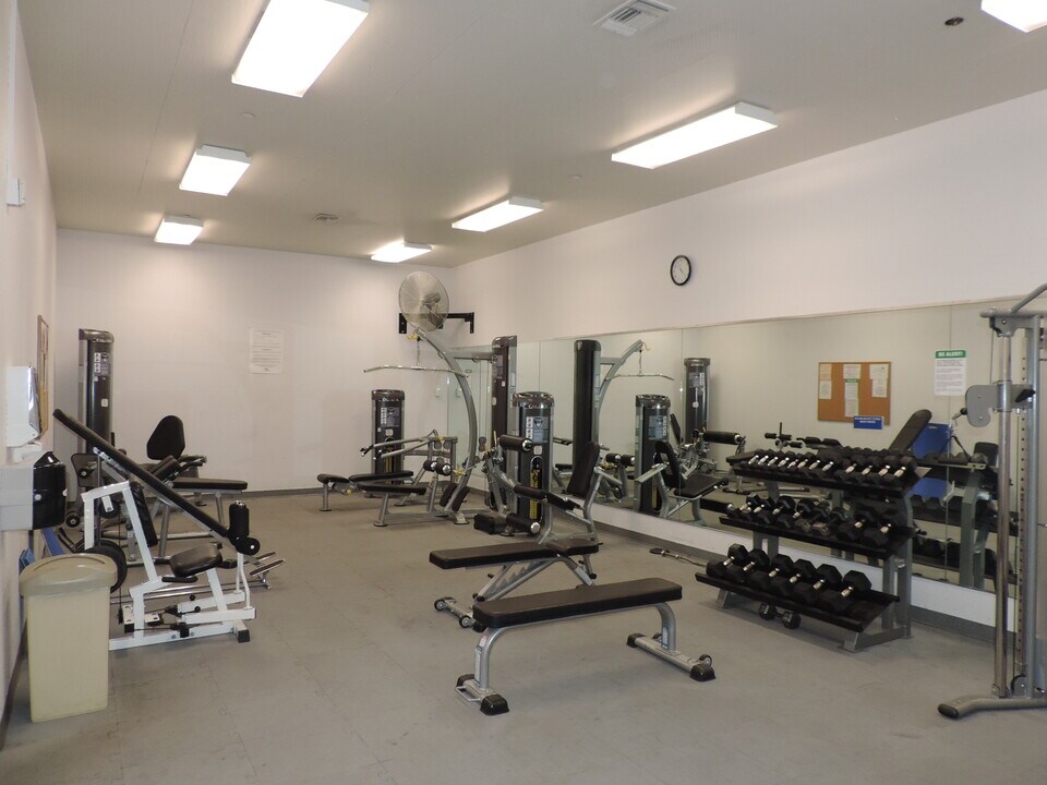 310 N Civic Dr, Unit 315 in Walnut Creek, CA - Building Photo