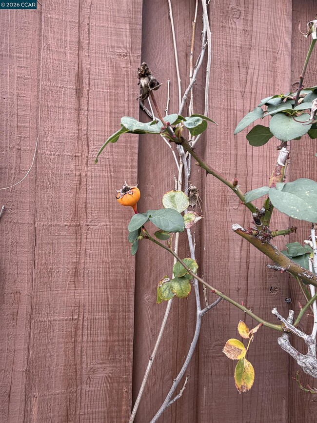 property at 350 Caroni St